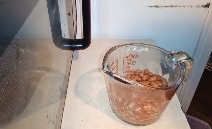 Warm and Mash the Beans