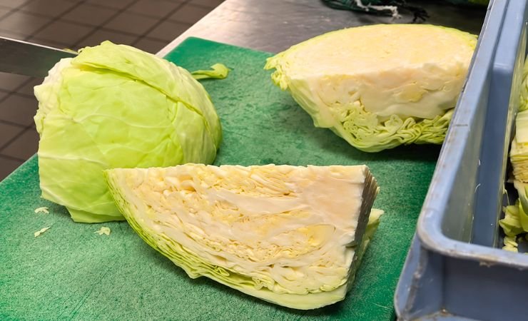 Shred the cabbage finely